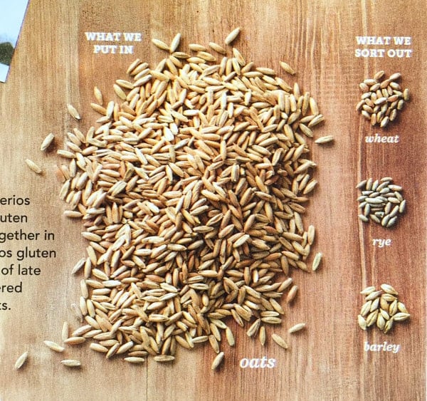 Photo of oats, wheat, rye, and barely on the back of a Honey Nut Cheerio box.