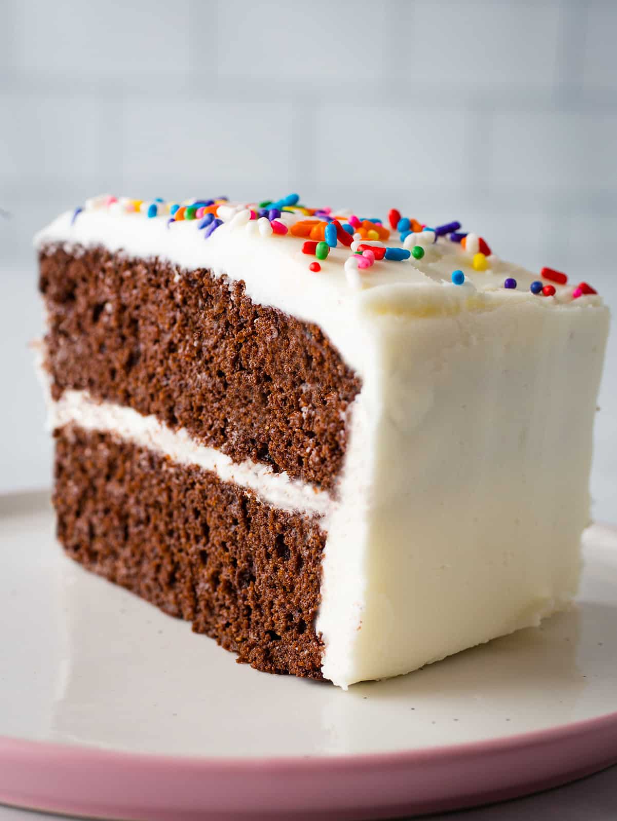 Slice of coconut flour chocolate cake with vanilla frosting and sprinkles.