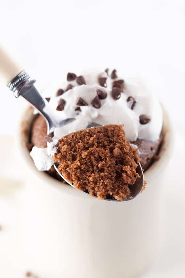 Gluten-Free Chocolate Mug Cake Closeup of Spoon. Topped with Whipped Cream and Mini-Chocolate Chips