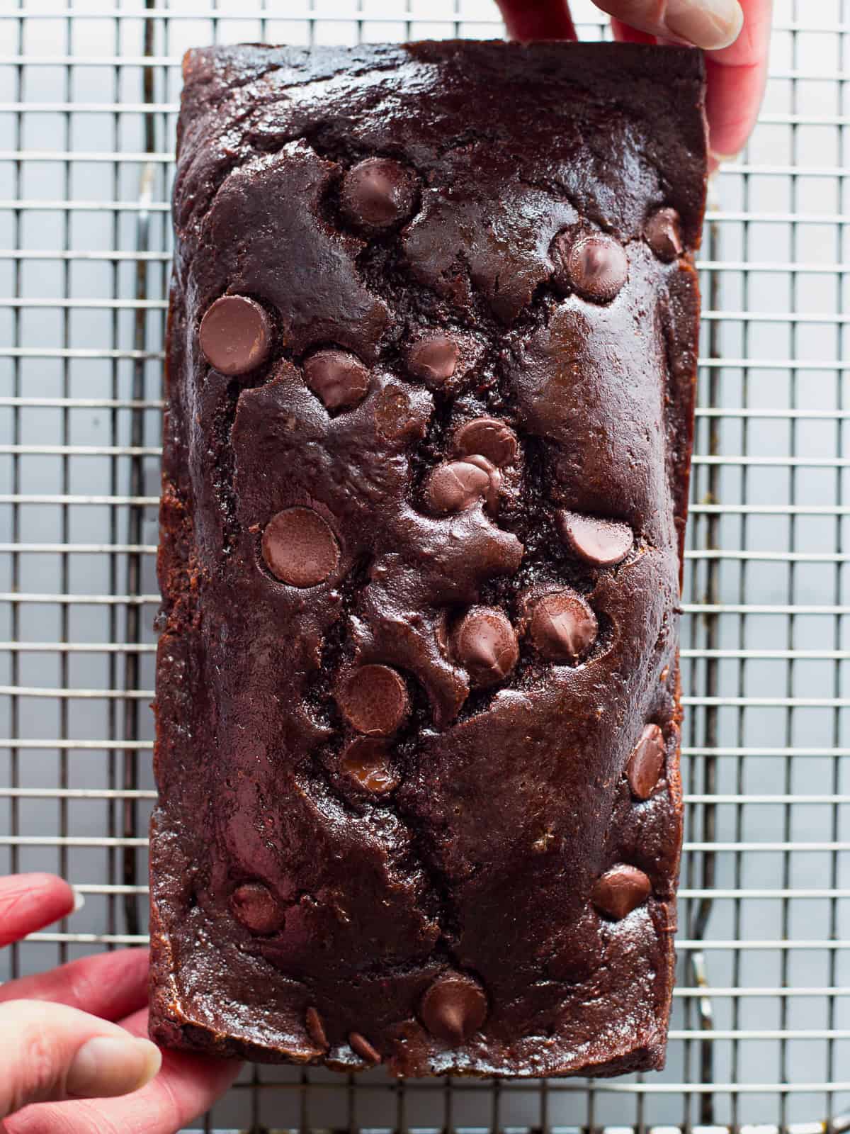 Gluten-free chocolate zucchini bread on a wire rack.