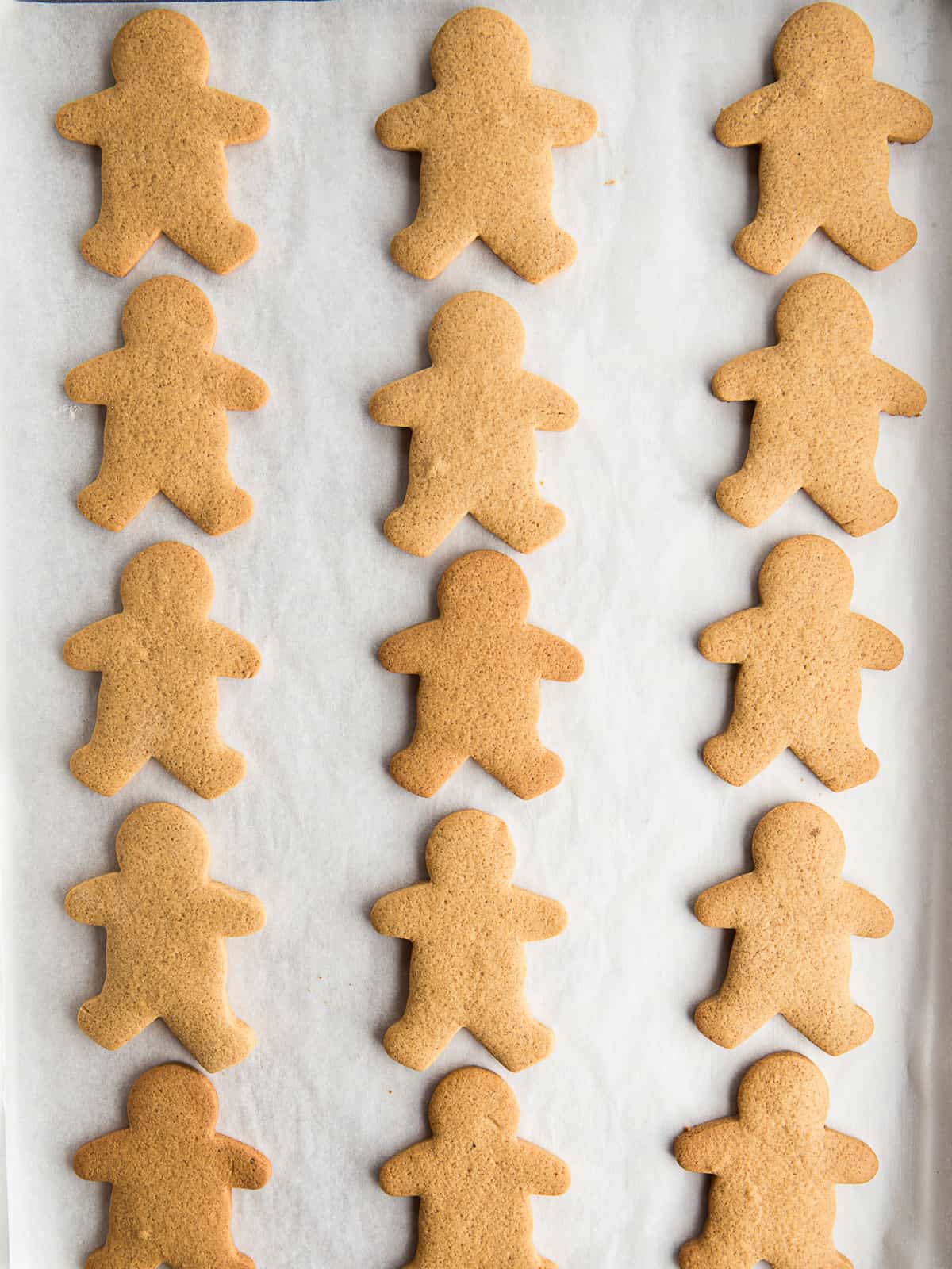 Gluten-free gingerbread cookies cooling on a baking sheet.