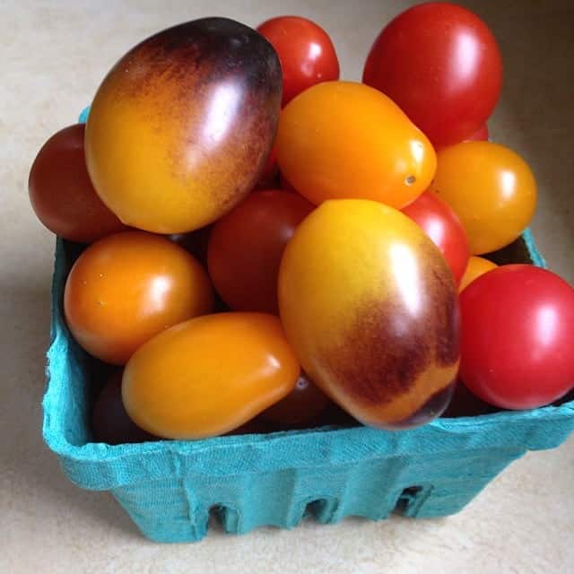 Colorful tomatoes in a pint.