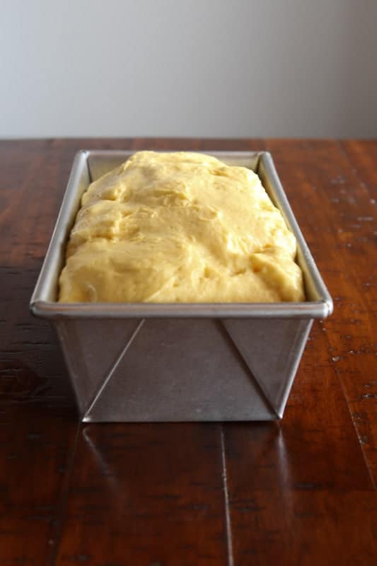 Gluten-free bread dough risen in loaf pan.