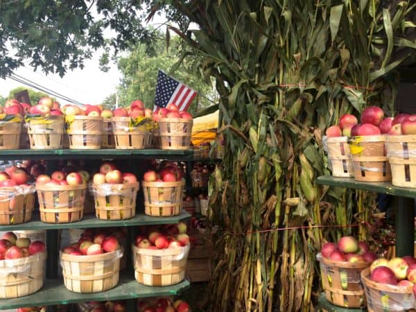 Apples in baskets being sold at a farm stand.