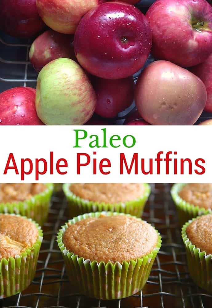 Paleo Apple Muffins