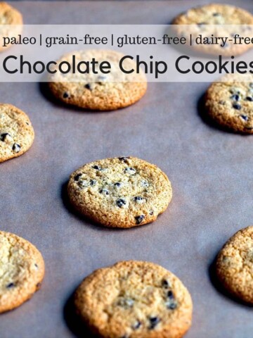 Paleo chocolate chip cookies on a pan.