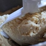 Gluten-free panettone dough on stand mixer attachment.