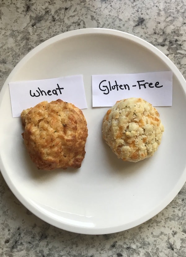 Two biscuits on a white plate. Biscuit on left is labeled "wheat". Biscuit on right is labeled "Gluten-free"