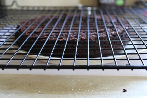 Gluten-free brownie under wire rack.