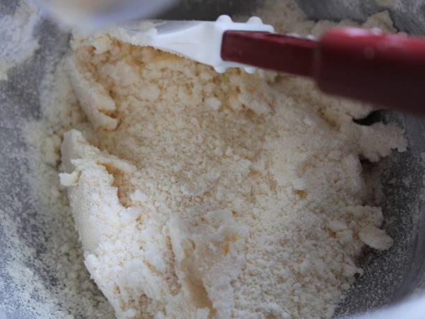 Dry gluten-free tart dough in bowl.