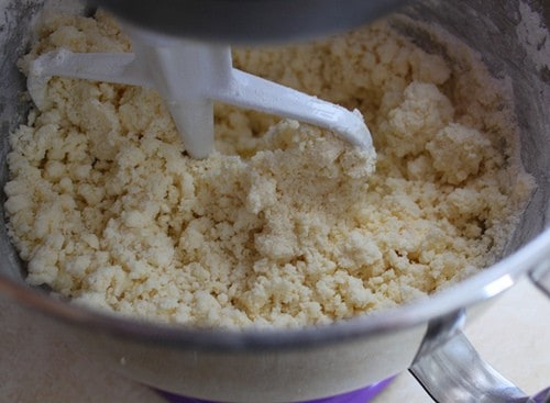 Dry gluten-free cookie dough mixing in a stand mixer bowl.